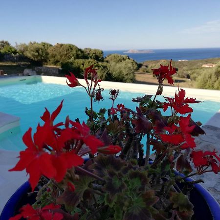 La Sima villa con piscina vista mare San Pantaleo Sardegna Esterno foto