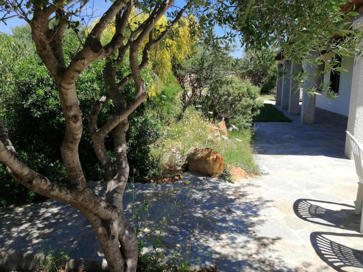 La Sima villa con piscina vista mare San Pantaleo Sardegna Esterno foto