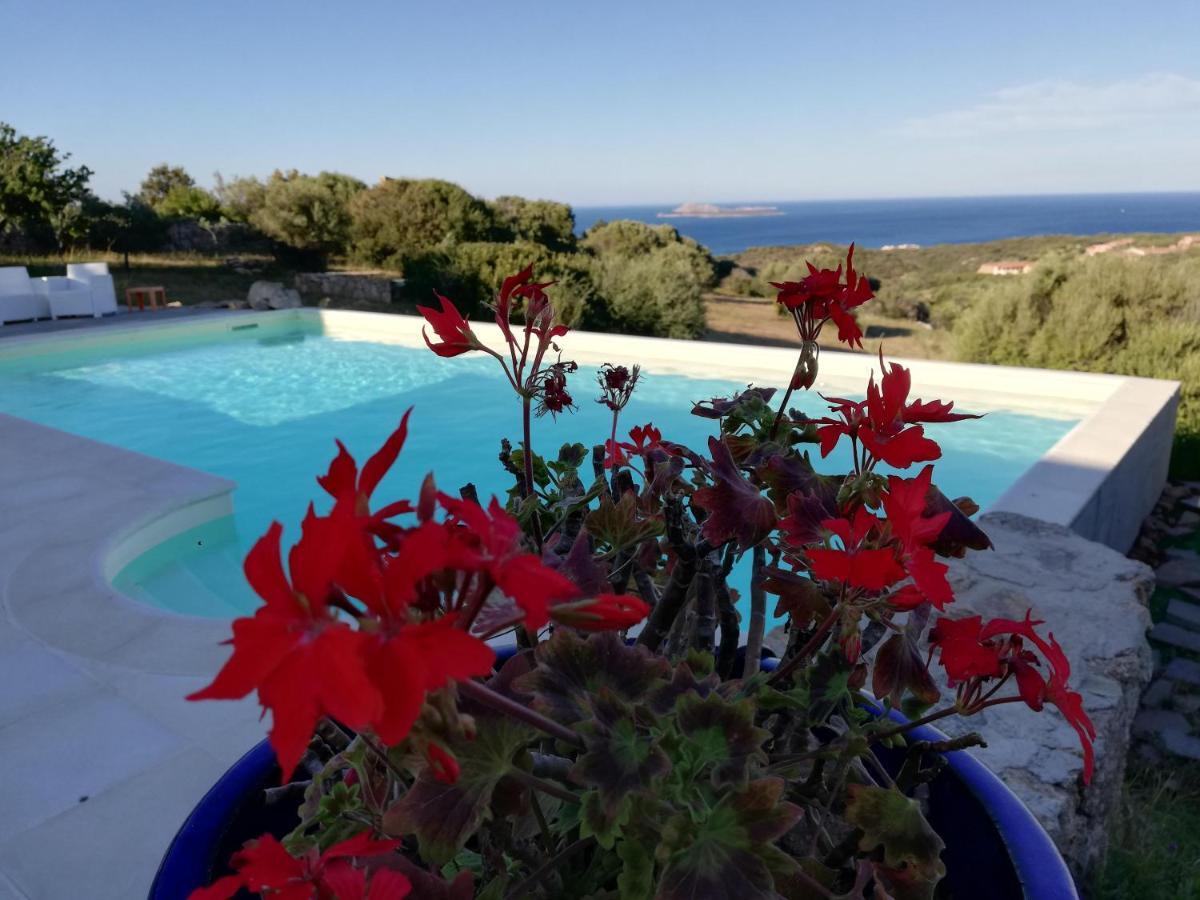 La Sima villa con piscina vista mare San Pantaleo Sardegna Esterno foto