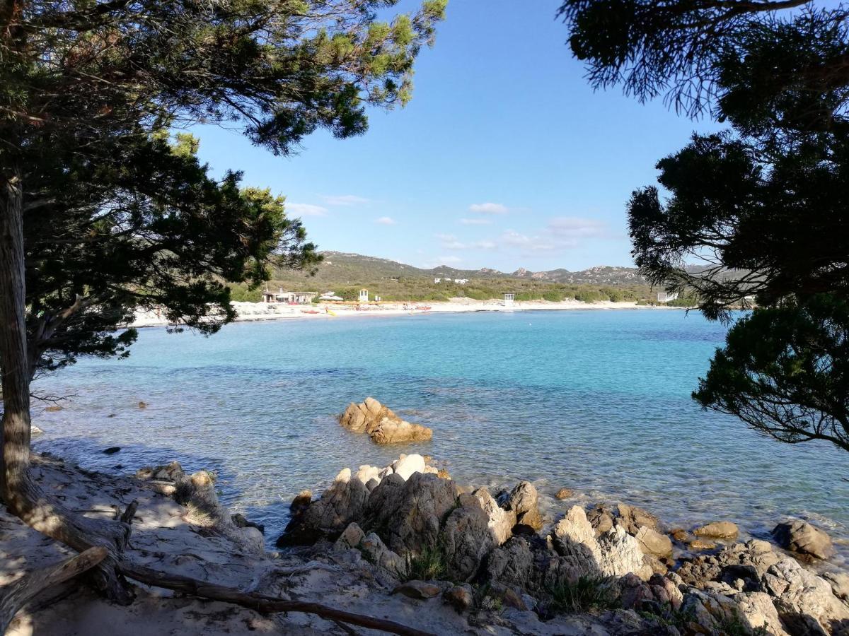 La Sima villa con piscina vista mare San Pantaleo Sardegna Esterno foto